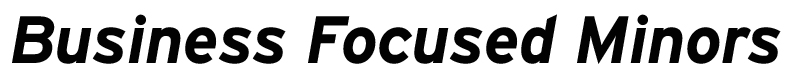 Business Focused Minors