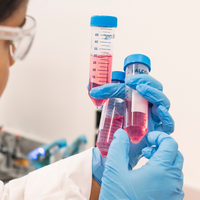 Closeup of gloved hands holding three vials with pink liquid