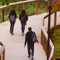 Students walking on boardwalk