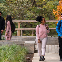 Students walking on campus