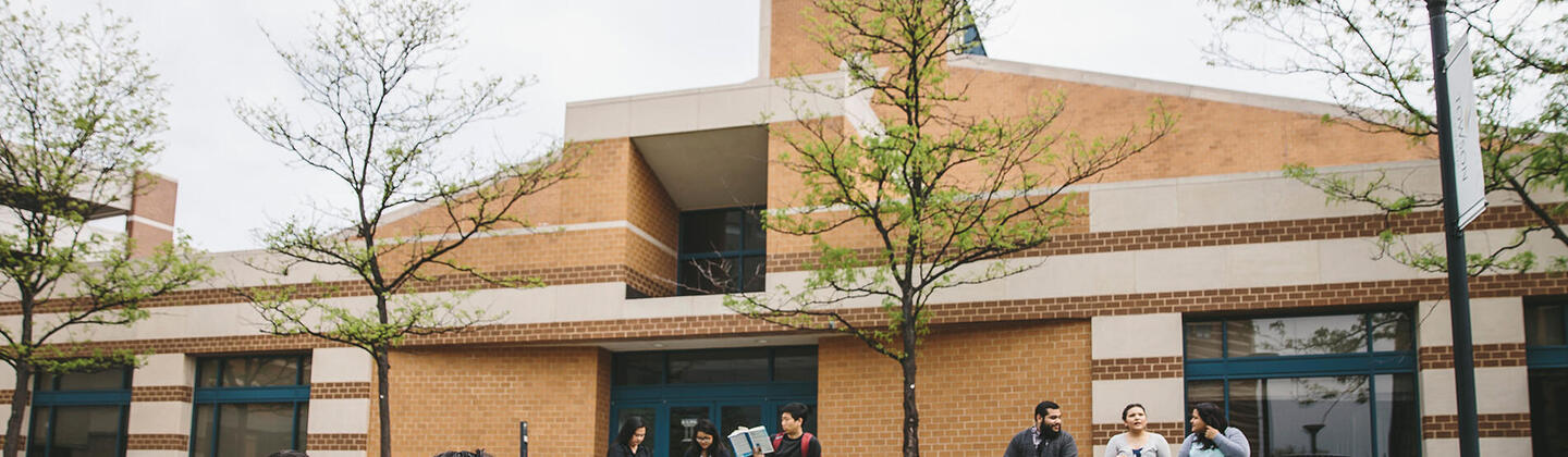 students reading outside