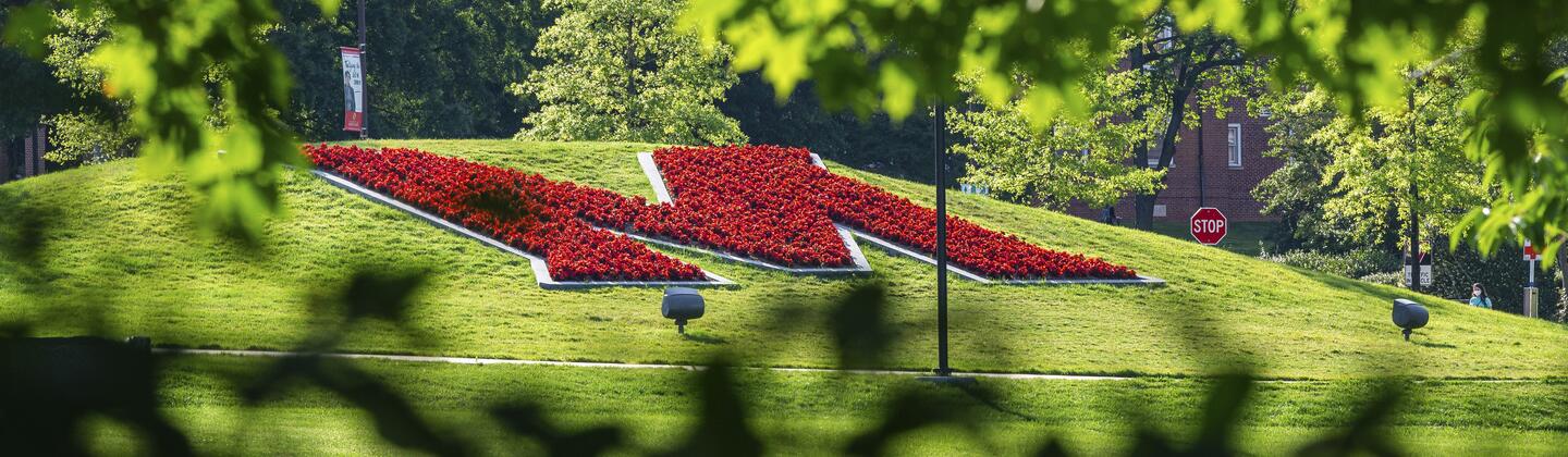 UMD Lawn