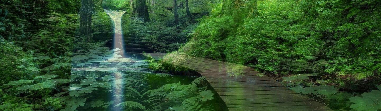 Picture of Waterfall