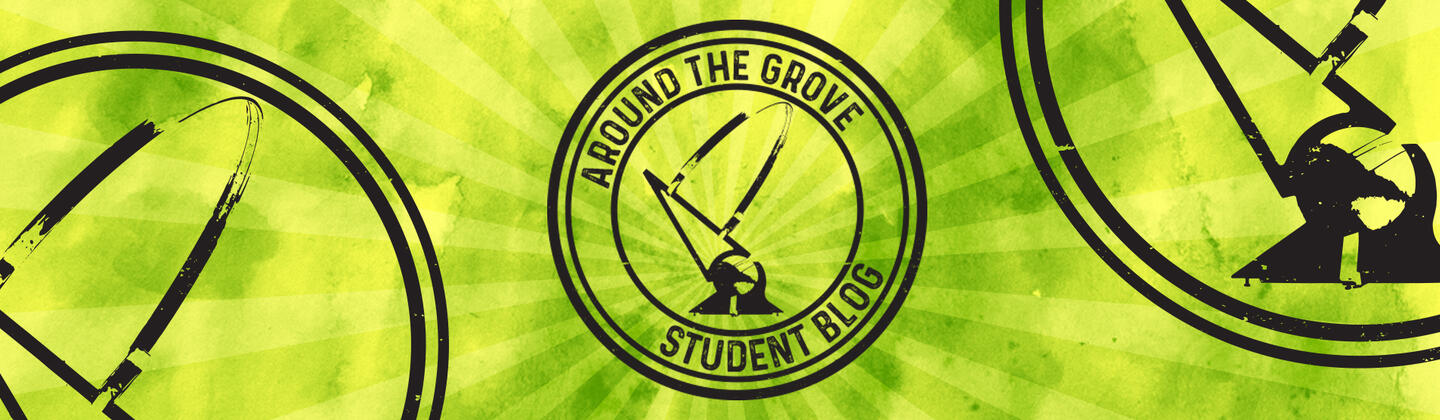 Around the Grove