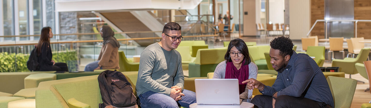 Students studying