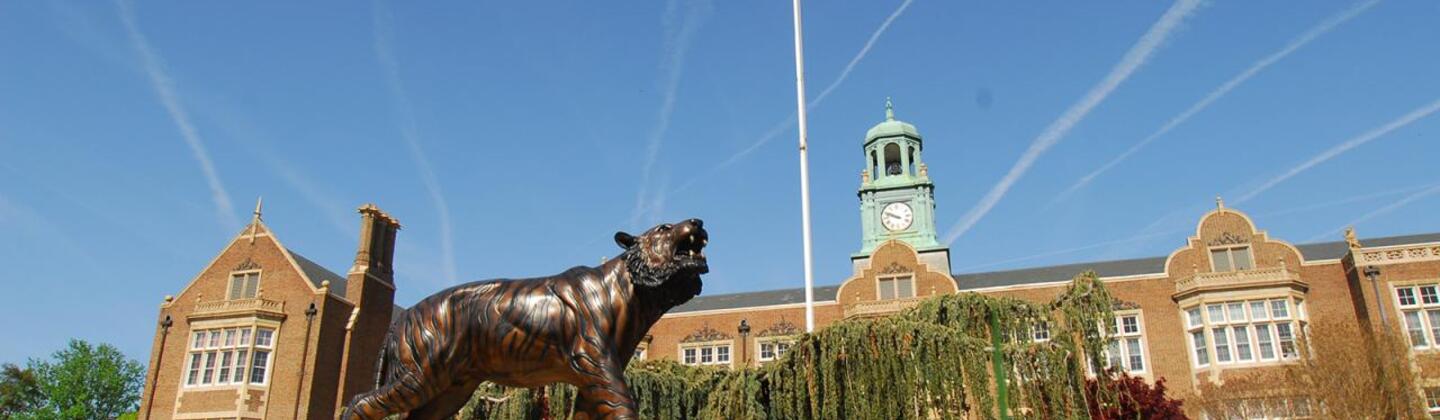 TU Tiger