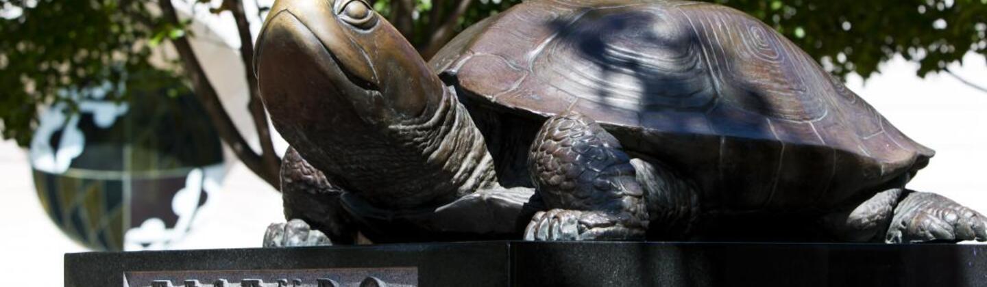 Testudo