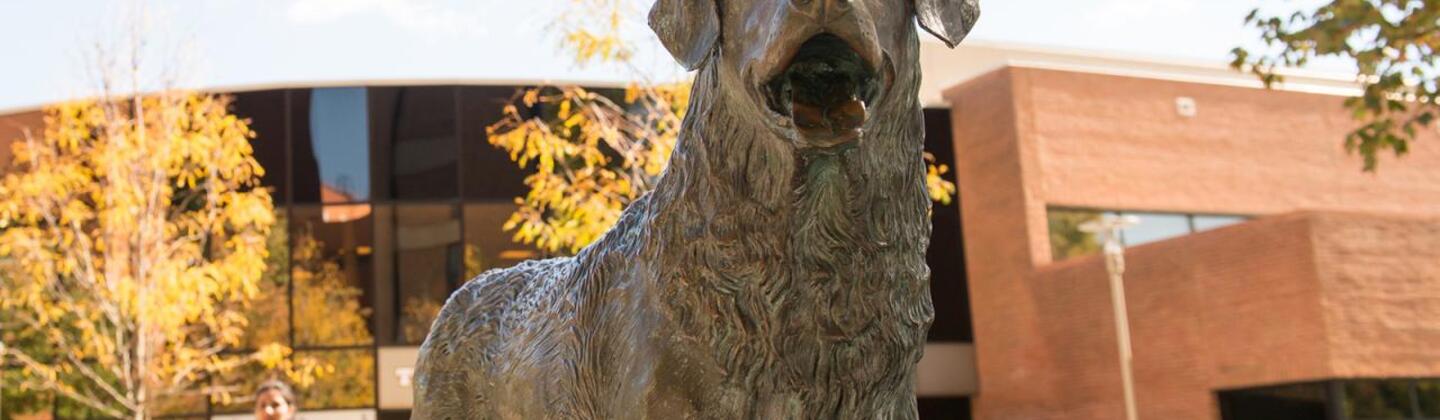 UMBC True Grit