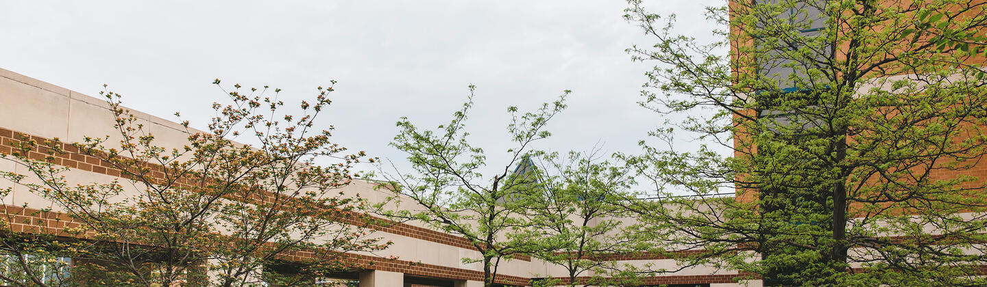 USG Building II Courtyard