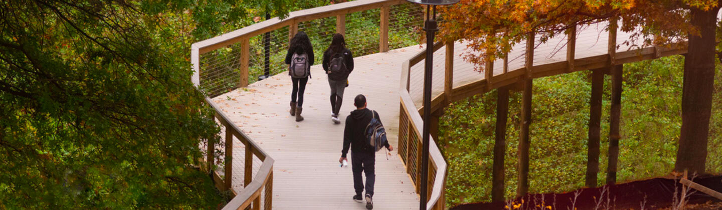 Students walking on boardwalk