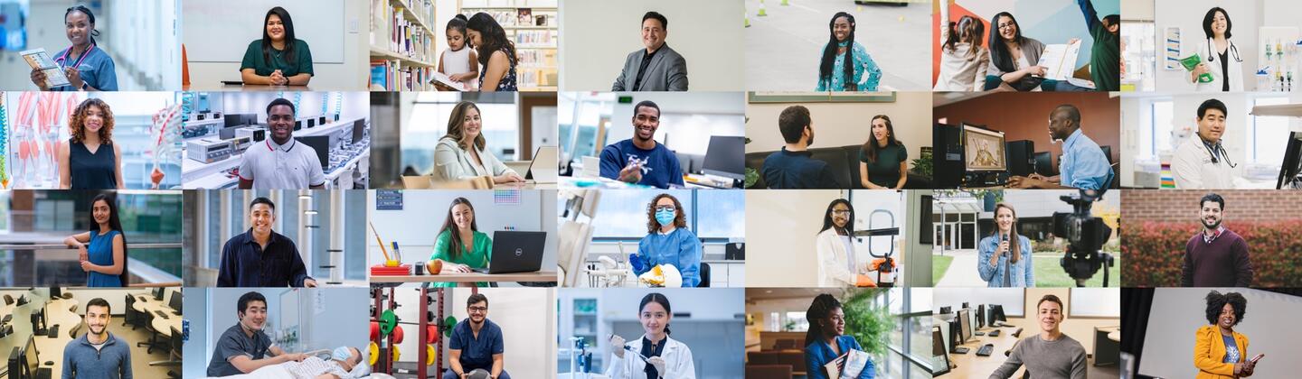 Students from various majors