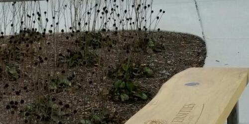 Repurposed Wood Benches