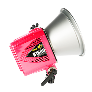 Alienbees B1600