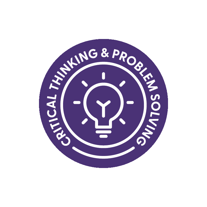 Critical Thinking & Problem Solving