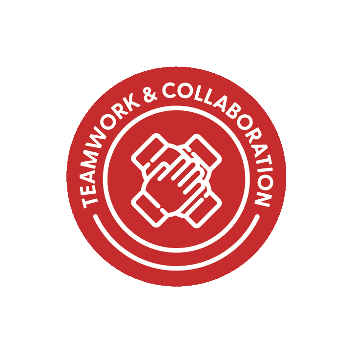 Teamwork & Collaboration