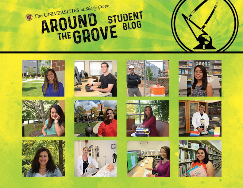 Around the Grove