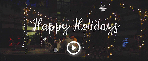 Holiday Video